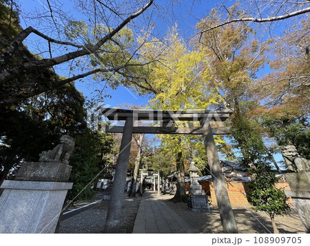 茨城県常総市　一言主神社の鳥居 108909705
