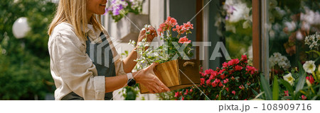 Close up of florist wearing apron taking care of houseplant in flower shop. Plant care concept 108909716