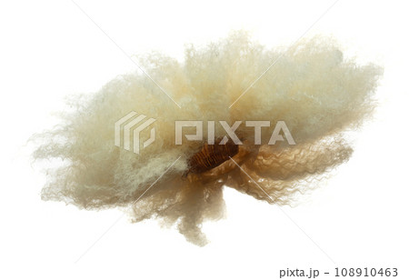 Afro Wig hair style fly fall explosion. Golden blond afro woman wig hair float in mid air. Afro wig hair extension wind blow cloud throw. White background isolated high speed freeze motion 108910463