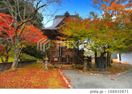 【兵庫県】快晴の出石城の紅葉(感応殿) 【兵庫県】快晴の出石城の紅葉(感応殿) 108910871