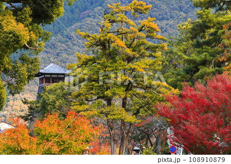 【兵庫県】辰鼓楼と紅葉（出石城下町） 108910879