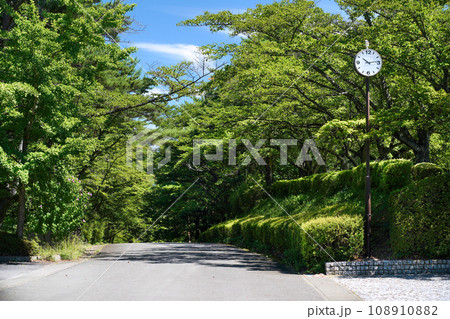 爽やかな新緑と大きな丸時計 爽やかな新緑と大きな丸時計 108910882