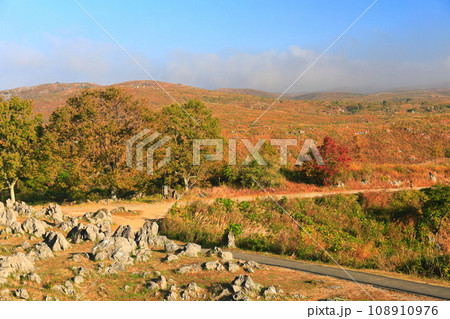 【山口県】秋の秋吉台（カルスト地形） 108910976