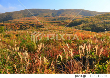 【山口県】秋の秋吉台（カルスト地形） 108910986