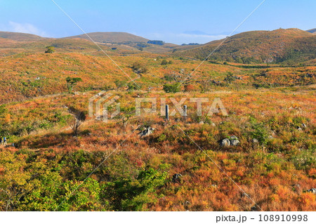 【山口県】秋の秋吉台（カルスト地形） 108910998
