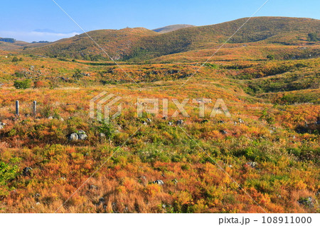 【山口県】秋の秋吉台（カルスト地形） 108911000