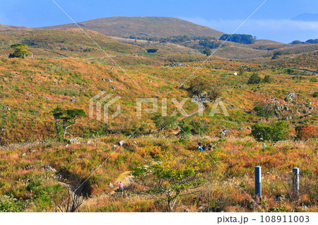 【山口県】秋の秋吉台(カルスト地形) 【山口県】秋の秋吉台(カルスト地形) 108911003