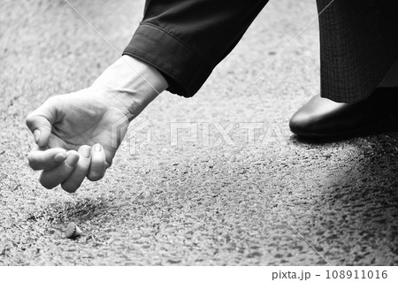 拾い物（白黒） 108911016