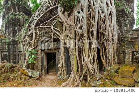 Panorama of ancient stone door and tree roots, Ta Prohm temple ruins, Angkor, Cambodia Panorama of ancient stone door and tree roots, Ta Prohm temple ruins, Angkor, Cambodia 108911486