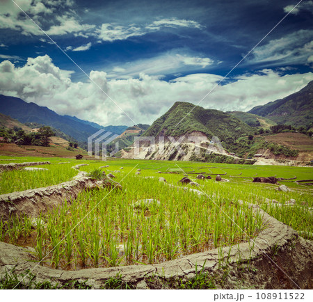 Vintage retro hipster style travel image of rice field terraces (rice paddy). Near Cat Cat village, near Sapa, Vietnam Vintage retro hipster style travel image of rice field terraces (rice paddy). Near Cat Cat village, near Sapa, Vietnam 108911522