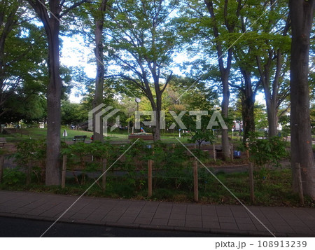 大泉交通公園 108913239