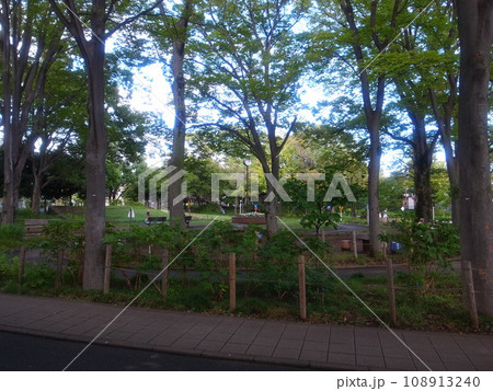 大泉交通公園 大泉交通公園 108913240
