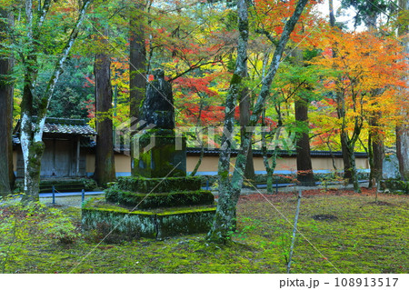 【広島県】紅葉の仏通寺 【広島県】紅葉の仏通寺 108913517