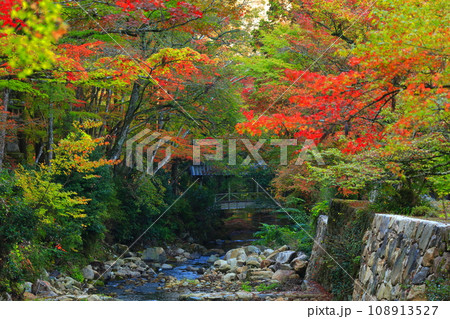 【広島県】紅葉の仏通寺の飛猿橋 【広島県】紅葉の仏通寺の飛猿橋 108913527