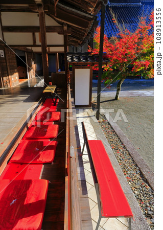 【広島県】仏通寺の大方丈から見た紅葉 【広島県】仏通寺の大方丈から見た紅葉 108913556