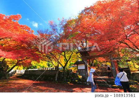 【兵庫県】紅葉の高源寺の惣門 108913561