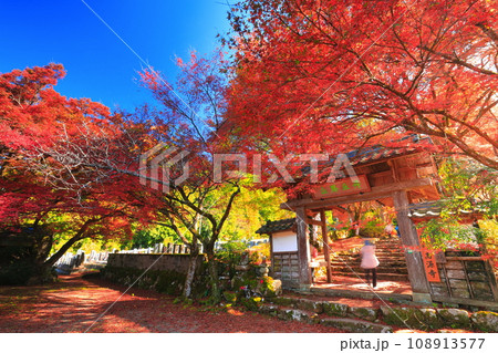 【兵庫県】紅葉の高源寺の惣門 108913577