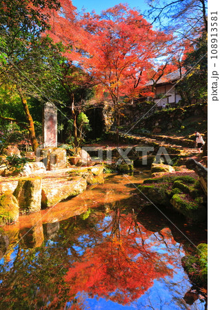 【兵庫県】シンメトリーな紅葉の高源寺 108913581
