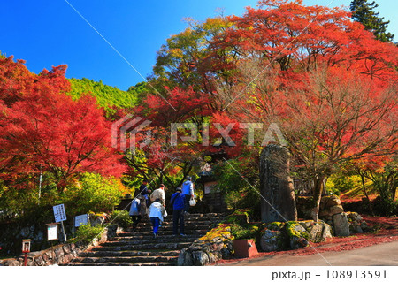【兵庫県】紅葉の高源寺の惣門 108913591