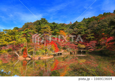 【兵庫県】神戸市立森林植物公園 長谷池の紅葉 【兵庫県】神戸市立森林植物公園 長谷池の紅葉 108913604