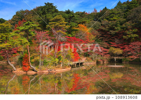 【兵庫県】神戸市立森林植物公園 長谷池の紅葉 【兵庫県】神戸市立森林植物公園 長谷池の紅葉 108913608