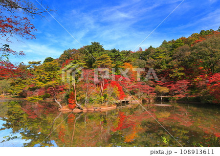 【兵庫県】神戸市立森林植物公園　長谷池の紅葉 108913611
