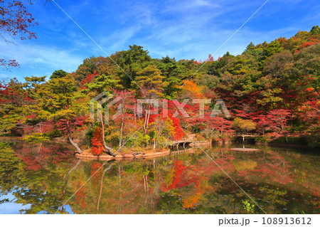 【兵庫県】神戸市立森林植物公園　長谷池の紅葉 108913612