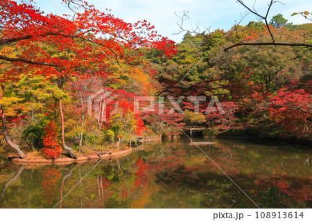 【兵庫県】神戸市立森林植物公園　長谷池の紅葉 108913614
