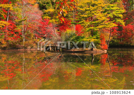 【兵庫県】神戸市立森林植物公園　長谷池の紅葉 108913624