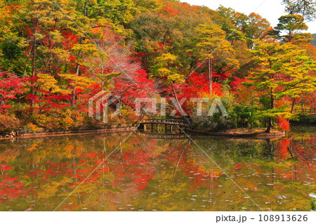 【兵庫県】神戸市立森林植物公園　長谷池の紅葉 108913626