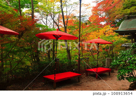 【兵庫県】瑞宝寺公園の紅葉（有馬温泉） 108913654