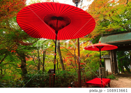 【兵庫県】瑞宝寺公園の紅葉（有馬温泉） 108913661