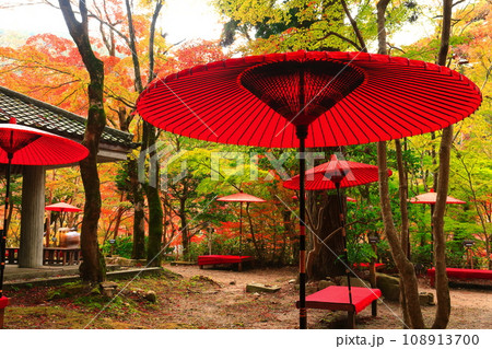 【兵庫県】瑞宝寺公園の紅葉（有馬温泉） 108913700
