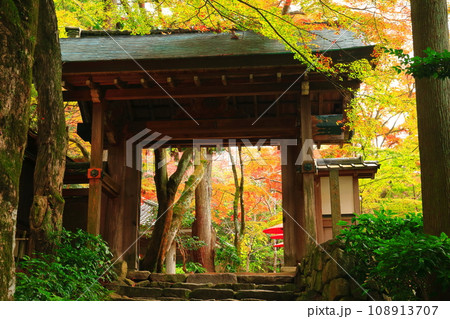 【兵庫県】瑞宝寺公園の紅葉（有馬温泉） 108913707