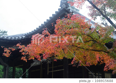 伊丹昆陽寺境内の行基堂と紅葉-1 108915688