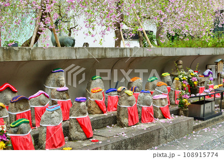 京都 紫雲山頂法寺 六角堂のお地蔵様と桜(京都市中京区) 京都 紫雲山頂法寺 六角堂のお地蔵様と桜(京都市中京区) 108915774