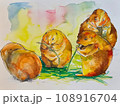 4匹のプレーリードッグがえさを食べているイラスト 108916704
