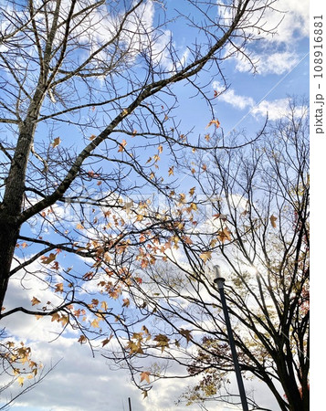 空 空 108916881