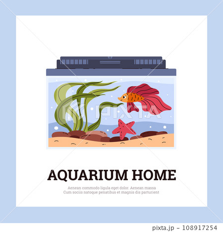 Squared banner about aquarium home flat style, vector illustration Squared banner about aquarium home flat style, vector illustration 108917254