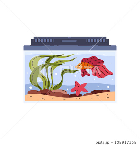 Glass home aquarium with pink fish, starfish and seaweed, algae and little stones on sand, cartoon Aquarium fish poster 108917358