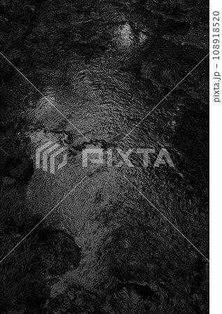 高野山を旅する 高野山を旅する 108918520