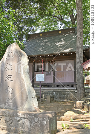 見沼田圃：下山口新田稲荷社 108918533