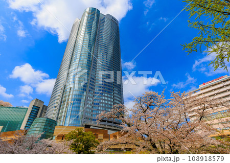 東京 港区 六本木 毛利庭園の桜と六本木ヒルズ 東京 港区 六本木 毛利庭園の桜と六本木ヒルズ 108918579