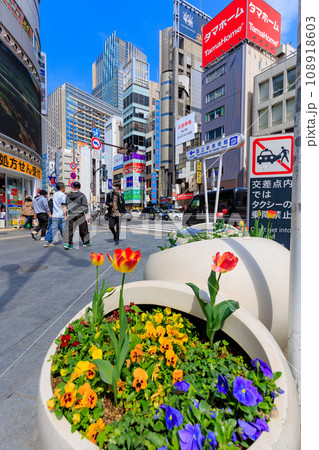 東京　港区　六本木の都市風景（六本木交差点） 108918603