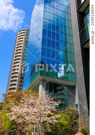 東京 港区 六本木 トライセブンロッポンギ前の桜 東京 港区 六本木 トライセブンロッポンギ前の桜 108918604