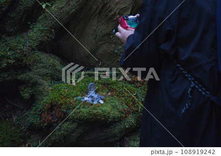 高野山を旅する 高野山を旅する 108919242