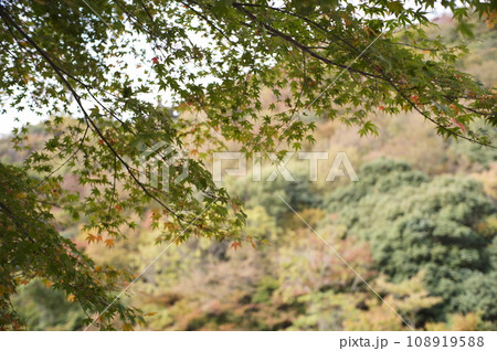 小豆島観光 小豆島観光 108919588