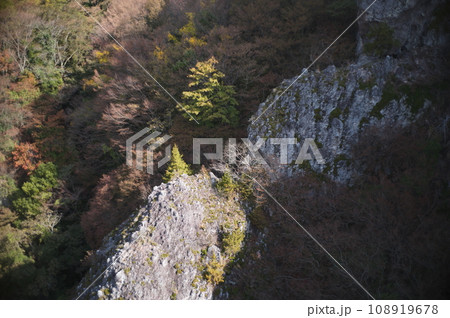 小豆島旅行 小豆島旅行 108919678