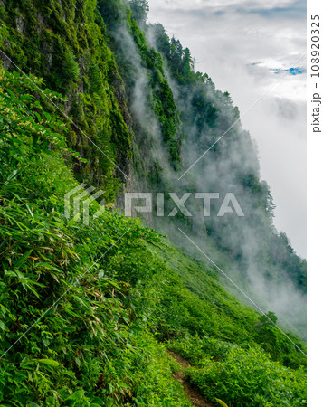 焼岳小屋付近 108920325
