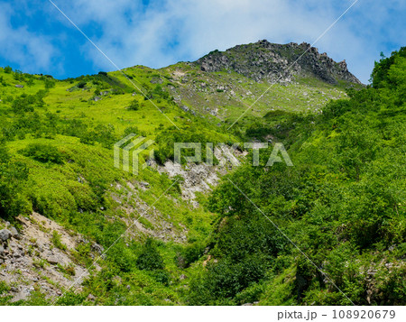 新中の湯ルートからの登山道 新中の湯ルートからの登山道 108920679